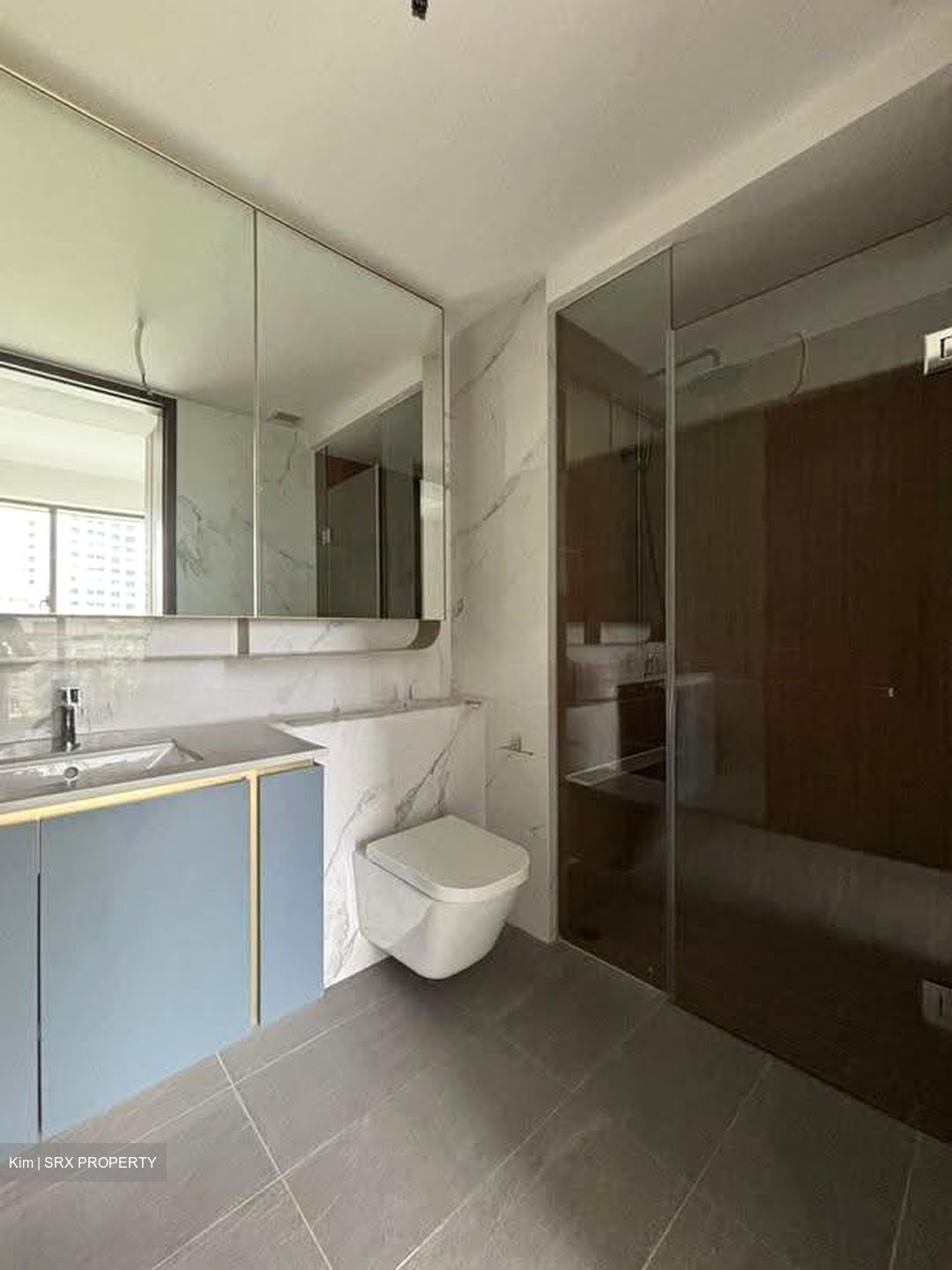 Amo Residence (D20), Apartment #615287211